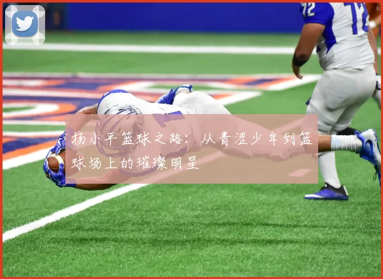 杨小平篮球之路：从青涩少年到篮球场上的璀璨明星