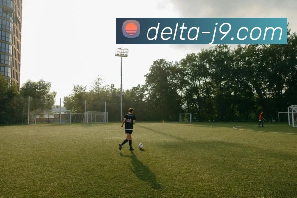 APP界面展示